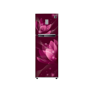 Samsung Double Door Refrigerator 275L