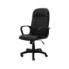 Piyestra High Back Executive Chair