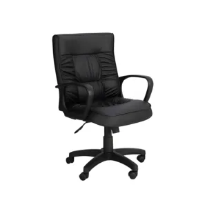 Piyestra Mid Back Superior Chair